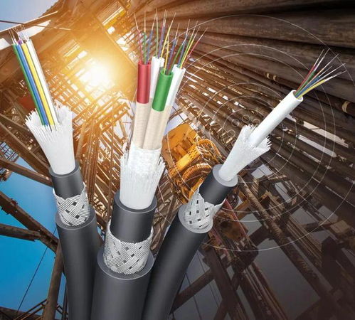 陽爾船用網線與光纜成功獲得LR型式認可證書，助力船舶通信技術升級